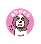 キャバリア犬リリコ（個別スタンプ：1）