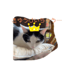 ももこのスタンプ（可愛いスタンプ）（個別スタンプ：19）
