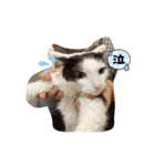 ももこのスタンプ（可愛いスタンプ）（個別スタンプ：24）
