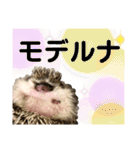 ハリネズミうぶぅの今しか使えないスタンプ（個別スタンプ：5）