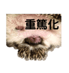 ハリネズミうぶぅの今しか使えないスタンプ（個別スタンプ：19）