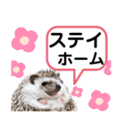 ハリネズミうぶぅの今しか使えないスタンプ（個別スタンプ：29）