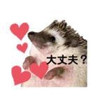 ハリネズミうぶぅの今しか使えないスタンプ（個別スタンプ：33）