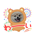 812ポンちゃん（個別スタンプ：7）
