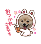812ポンちゃん（個別スタンプ：10）