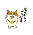 ねこさんがごあいさつ（個別スタンプ：6）