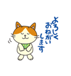 ねこさんがごあいさつ（個別スタンプ：16）