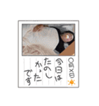 冨田航平（個別スタンプ：26）