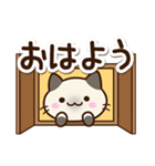 小さいシャム猫（個別スタンプ：1）