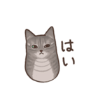 いとしい猫（個別スタンプ：1）