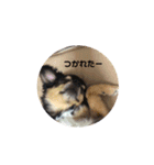 こてつすたんぷ。3（個別スタンプ：8）