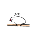 ぴっちこ 白文鳥（個別スタンプ：15）