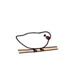 ぴっちこ 白文鳥（個別スタンプ：18）