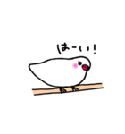 ぴっちこ 白文鳥（個別スタンプ：20）