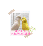きなこ、ずんだご挨拶スタンプ（個別スタンプ：2）