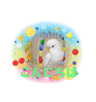 きなこ、ずんだご挨拶スタンプ（個別スタンプ：3）