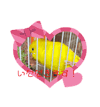 きなこ、ずんだご挨拶スタンプ（個別スタンプ：4）