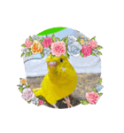 きなこ、ずんだご挨拶スタンプ（個別スタンプ：10）