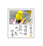 きなこ、ずんだご挨拶スタンプ（個別スタンプ：12）