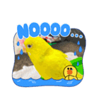 きなこ、ずんだご挨拶スタンプ（個別スタンプ：13）