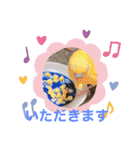 きなこ、ずんだご挨拶スタンプ（個別スタンプ：15）