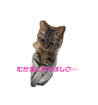 いとう家のねこちゃんず（個別スタンプ：4）