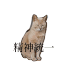 いとう家のねこちゃんず（個別スタンプ：28）