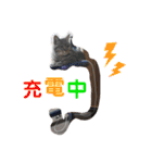 いとう家のねこちゃんず（個別スタンプ：33）