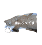 いとう家のねこちゃんず（個別スタンプ：36）
