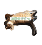 いとう家のねこちゃんず（個別スタンプ：38）