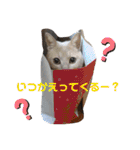 いとう家のねこちゃんず（個別スタンプ：40）