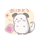 チンチラのはまちくん（個別スタンプ：1）