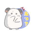 チンチラのはまちくん（個別スタンプ：6）