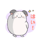 チンチラのはまちくん（個別スタンプ：13）
