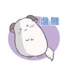 チンチラのはまちくん（個別スタンプ：21）