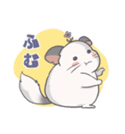 チンチラのはまちくん（個別スタンプ：22）