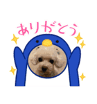くうらてるかver.3（個別スタンプ：3）