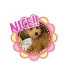 くうらてるかver.3（個別スタンプ：5）