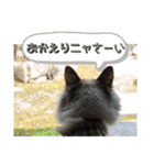 ふくにゃんの日常スタンプ（個別スタンプ：14）