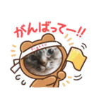 ふくにゃんの日常スタンプ（個別スタンプ：16）