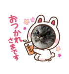 ふくにゃんの日常スタンプ（個別スタンプ：17）
