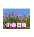 ご挨拶☆（個別スタンプ：5）