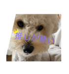 可愛いめるちゃん〔お正月version〕（個別スタンプ：1）