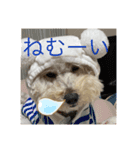 可愛いめるちゃん〔お正月version〕（個別スタンプ：2）