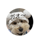 可愛いめるちゃん〔お正月version〕（個別スタンプ：3）