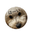 可愛いめるちゃん〔お正月version〕（個別スタンプ：5）