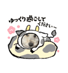 可愛いめるちゃん〔お正月version〕（個別スタンプ：7）