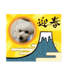 可愛いめるちゃん〔お正月version〕（個別スタンプ：10）