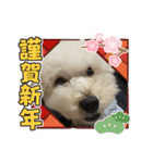 可愛いめるちゃん〔お正月version〕（個別スタンプ：11）