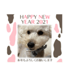可愛いめるちゃん〔お正月version〕（個別スタンプ：12）